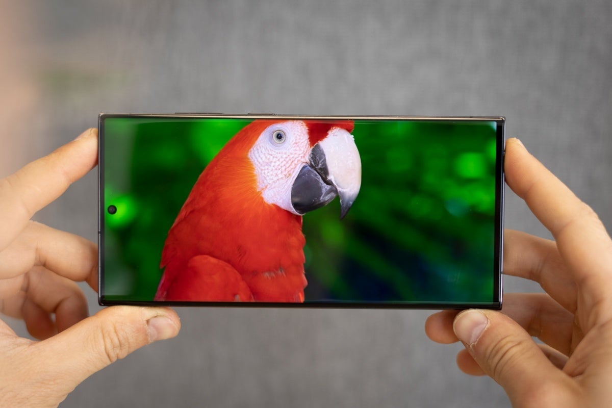Galaxy-S23-Ultra-screen vs S24 Ultra